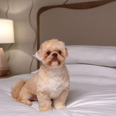 Doubletree By Hilton Hotel And Conference Center Chicago North Shore Skokie Ngoại thất bức ảnh