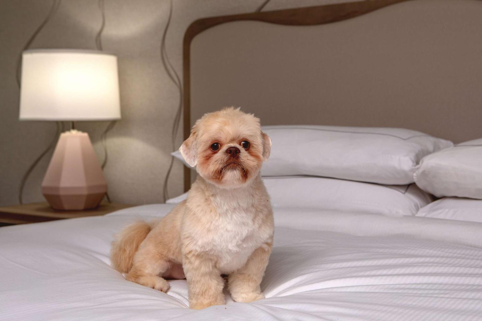 Doubletree By Hilton Hotel And Conference Center Chicago North Shore Skokie Ngoại thất bức ảnh