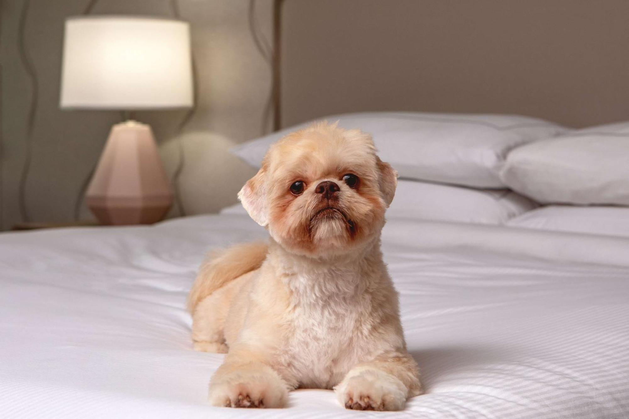 Doubletree By Hilton Hotel And Conference Center Chicago North Shore Skokie Ngoại thất bức ảnh